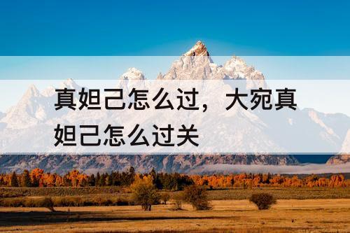 真妲己怎么过，大宛真妲己怎么过关