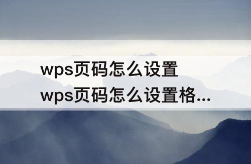 wps页码怎么设置 wps页码怎么设置格式