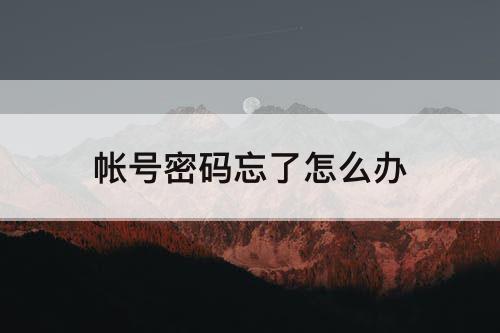 帐号密码忘了怎么办