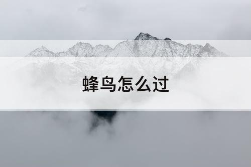 蜂鸟怎么过
