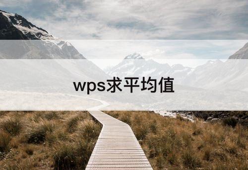 wps求平均值