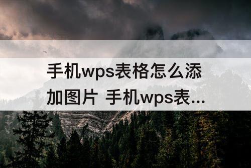 手机wps表格怎么添加图片 手机wps表格怎么添加图片进去
