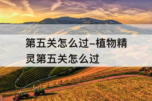 第五关怎么过-植物精灵第五关怎么过