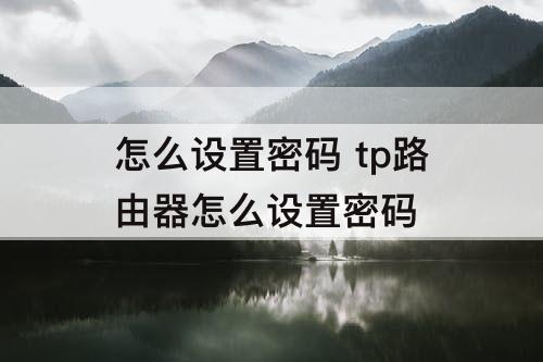 怎么设置密码 tp路由器怎么设置密码