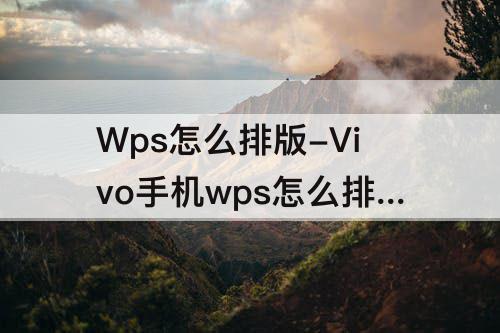 Wps怎么排版-Vivo手机wps怎么排版古诗