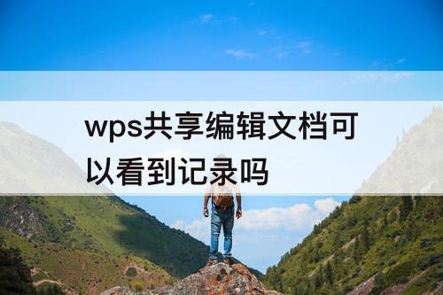 wps共享编辑文档可以看到记录吗