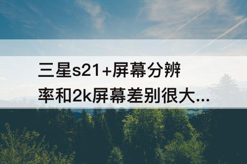 三星s21+屏幕分辨率和2k屏幕差别很大吗