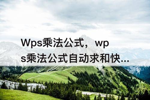 Wps乘法公式，wps乘法公式自动求和快捷键