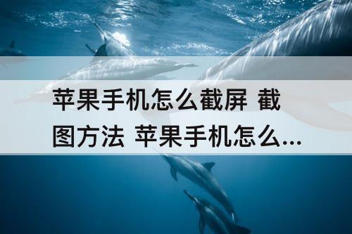 苹果手机怎么截屏 截图方法 苹果手机怎么截屏 截图方法13
