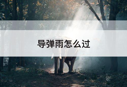 导弹雨怎么过