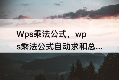Wps乘法公式，wps乘法公式自动求和总是0