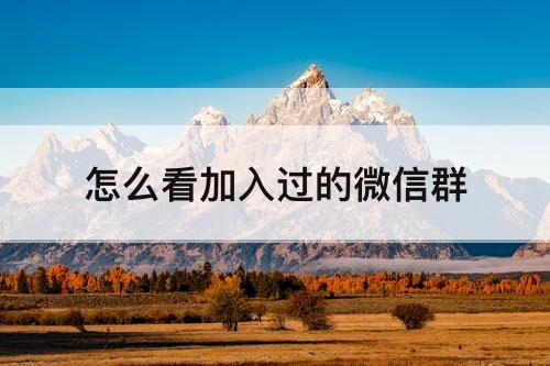怎么看加入过的微信群