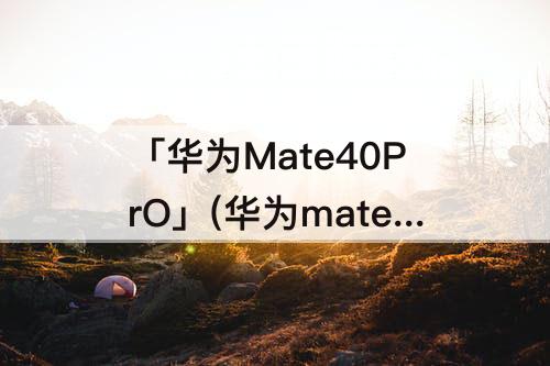 「华为Mate40PrO」(华为mate40pro截图长屏怎么截图)