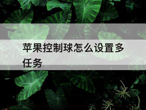 苹果控制球怎么设置多任务