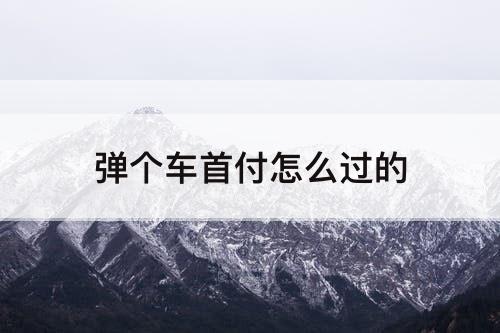 弹个车首付怎么过的