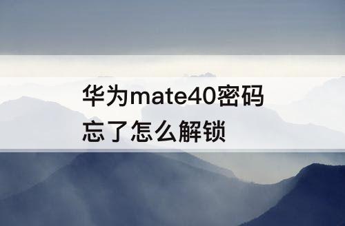 华为mate40密码忘了怎么解锁