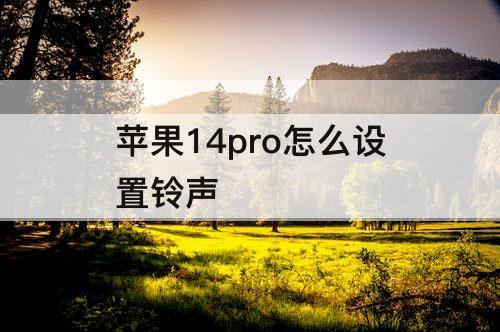 苹果14pro怎么设置铃声