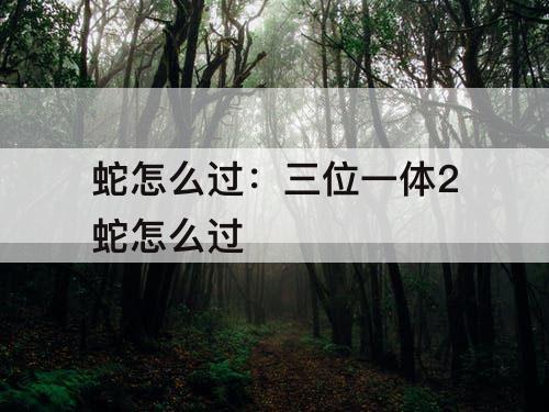 蛇怎么过：三位一体2蛇怎么过