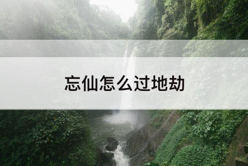 忘仙怎么过地劫