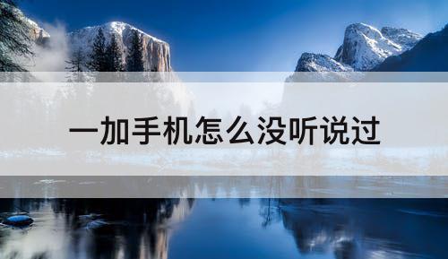 一加手机怎么没听说过