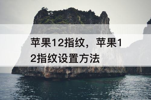 苹果12指纹，苹果12指纹设置方法