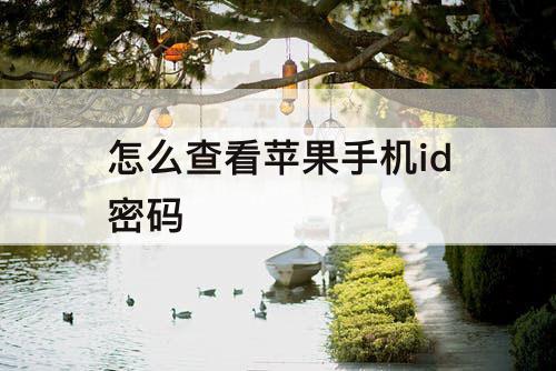 怎么查看苹果手机id密码