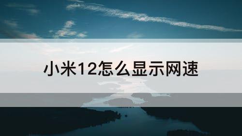 小米12怎么显示网速