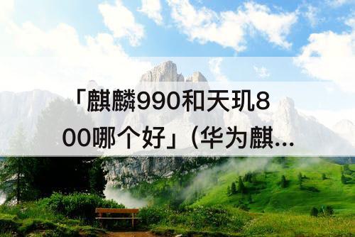 「麒麟990和天玑800哪个好」(华为麒麟990和天玑800哪个好)