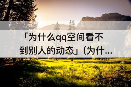 「为什么qq空间看不到别人的动态」(为什么qq空间看不到别人的动态但是可以打开她的空间)