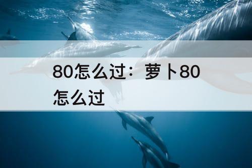 80怎么过：萝卜80怎么过