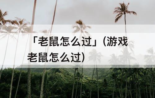 「老鼠怎么过」(游戏老鼠怎么过)