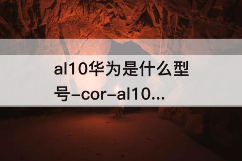 al10华为是什么型号-cor-al10华为是什么型号