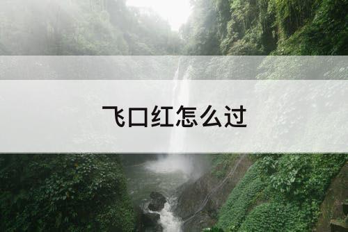 飞口红怎么过