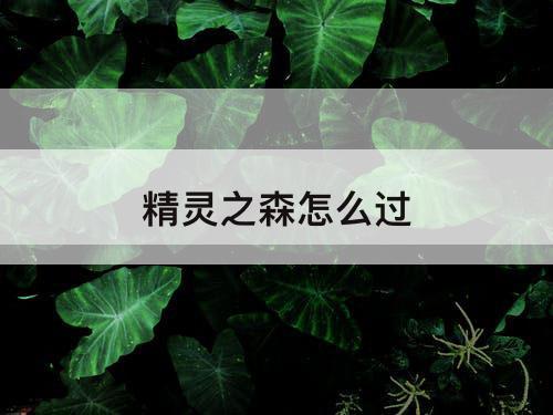 精灵之森怎么过