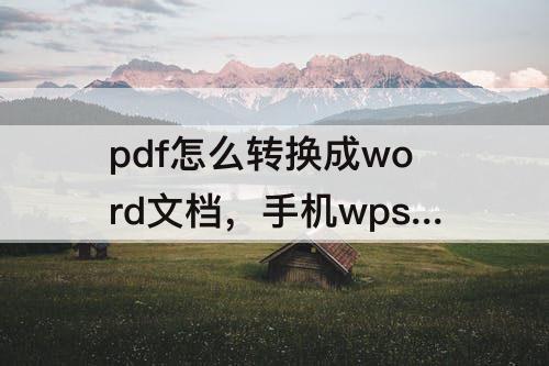 pdf怎么转换成word文档，手机wpspdf怎么转换成word文档