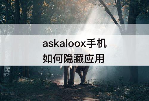askaloox手机如何隐藏应用