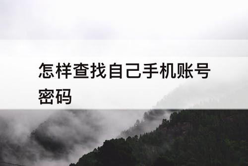 怎样查找自己手机账号密码