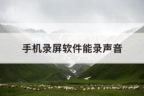 手机录屏软件能录声音