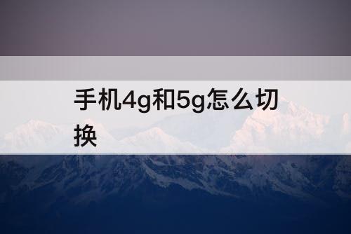 手机4g和5g怎么切换