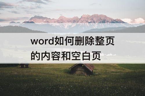 word如何删除整页的内容和空白页
