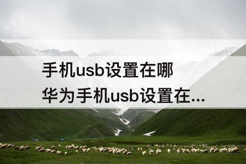 手机usb设置在哪 华为手机usb设置在哪里关闭