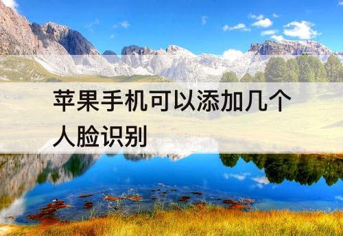 苹果手机可以添加几个人脸识别