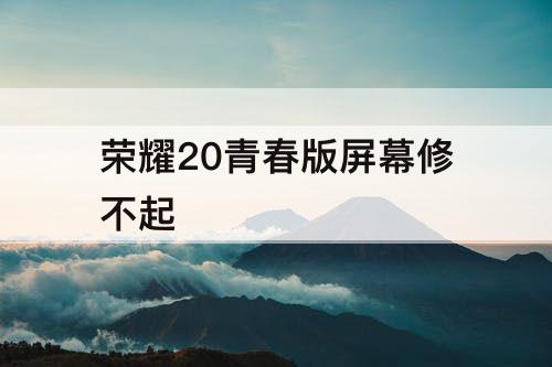 荣耀20青春版屏幕修不起