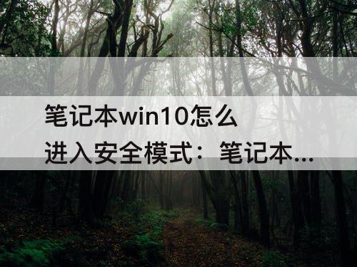 笔记本win10怎么进入安全模式：笔记本win10怎么进入安全模式启动
