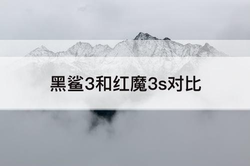 黑鲨3和红魔3s对比