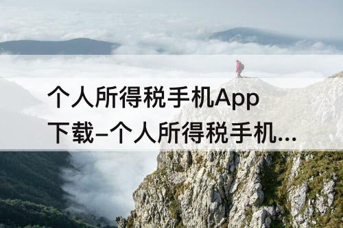 个人所得税手机App下载-个人所得税手机app下载安装官方免费下载