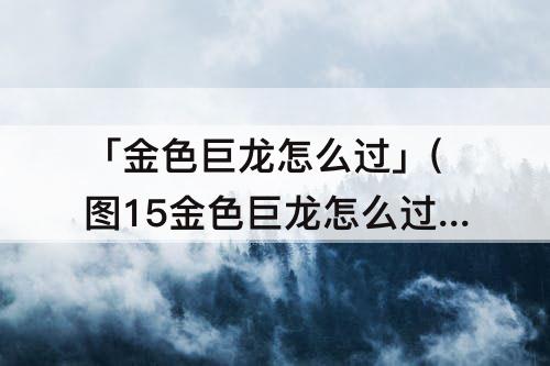 「金色巨龙怎么过」(图15金色巨龙怎么过)