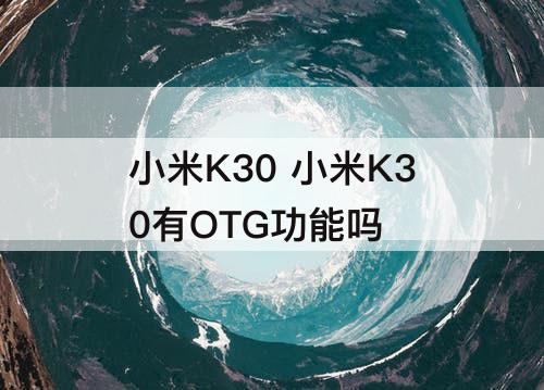 小米K30 小米K30有OTG功能吗