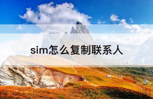 sim怎么复制联系人