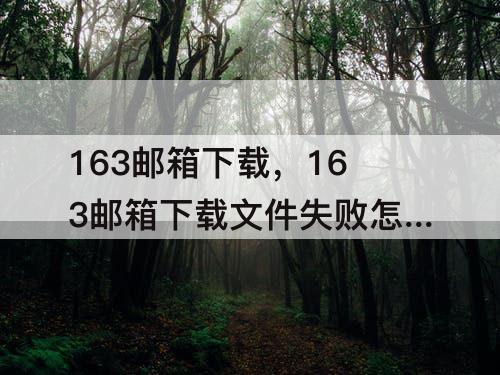 163邮箱下载，163邮箱下载文件失败怎么回事